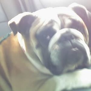 Meet your Posher, Christiane